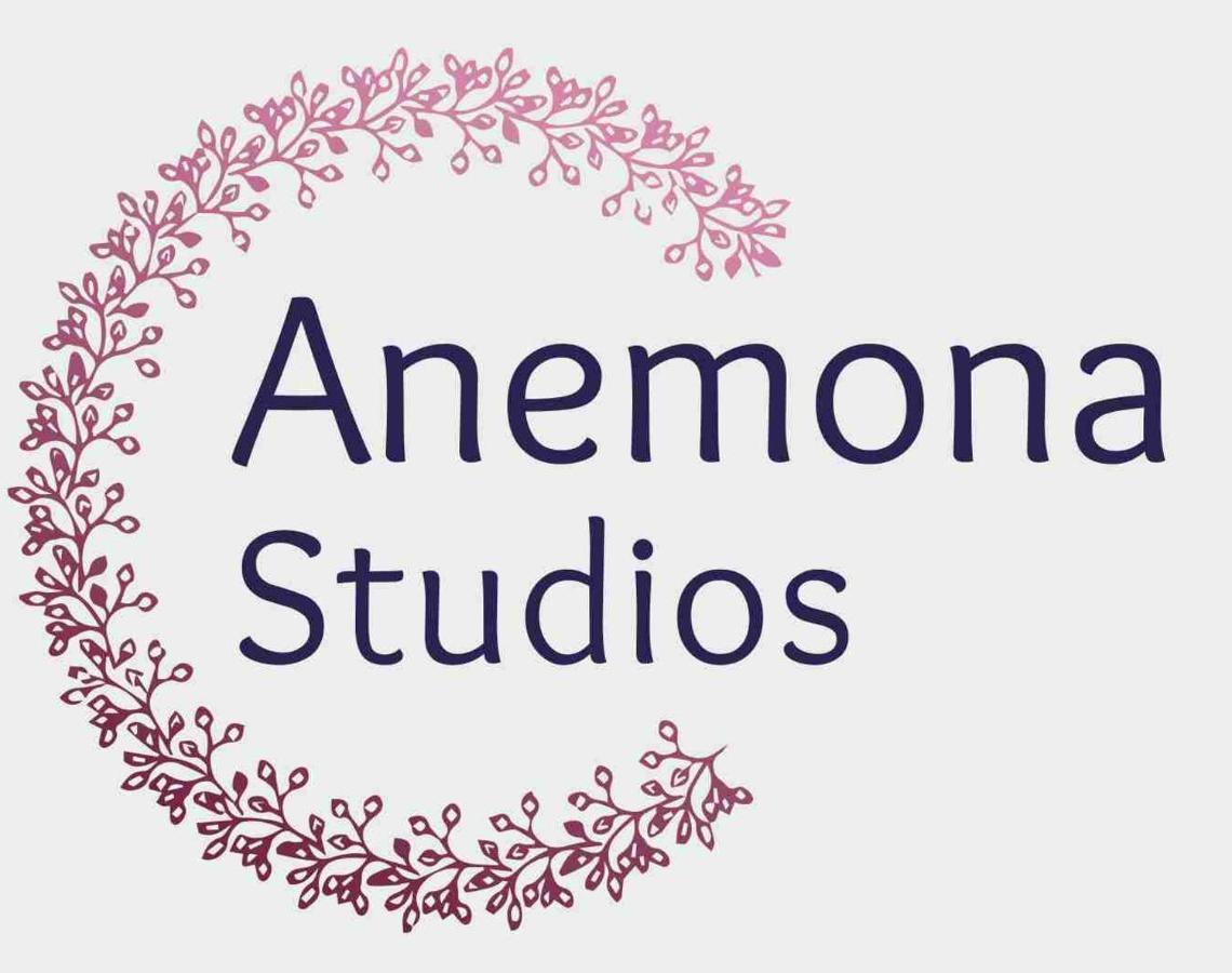 باليوكاستريتسا Anemona Studios المظهر الخارجي الصورة