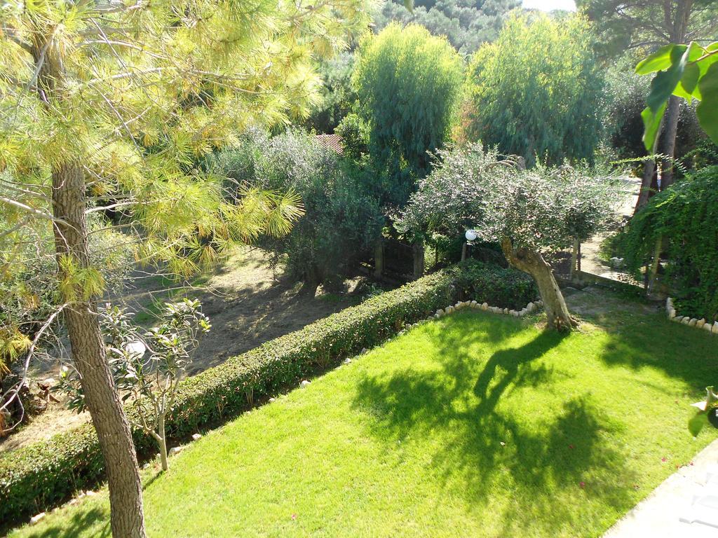 باليوكاستريتسا Anemona Studios المظهر الخارجي الصورة