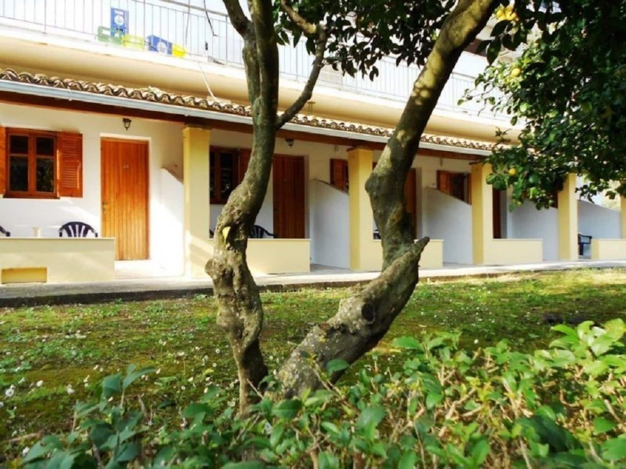 باليوكاستريتسا Anemona Studios المظهر الخارجي الصورة